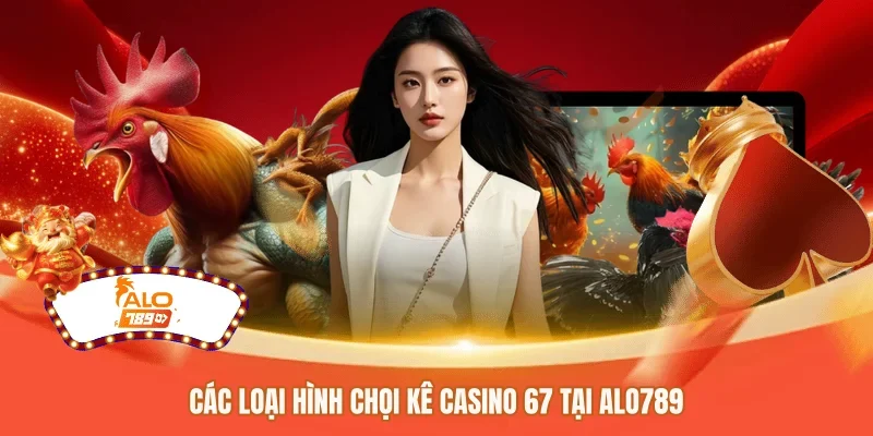 Các loại hình chọi kê casino 67 tại ALO789