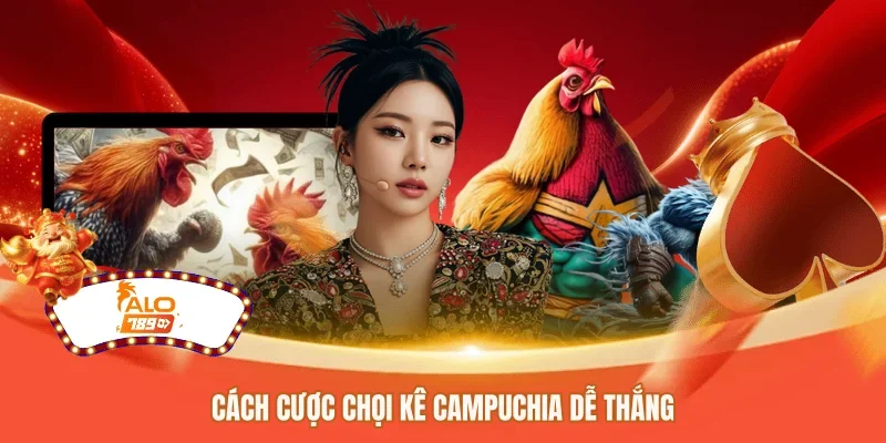 Cách cược chọi kê Campuchia dễ thắng