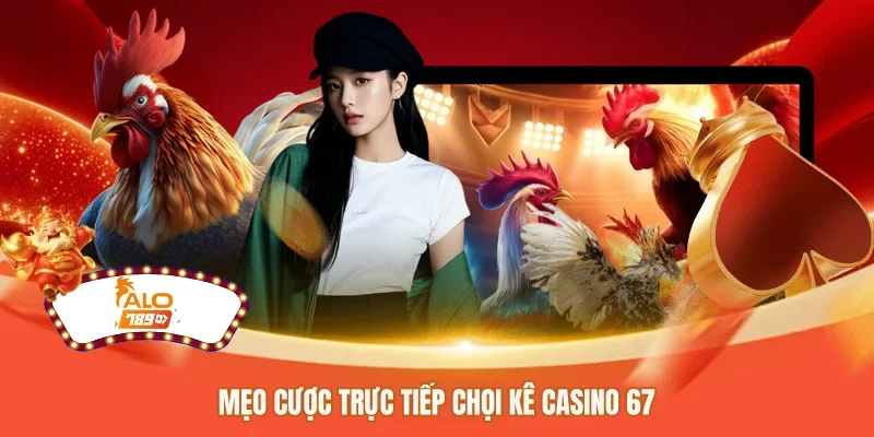 Mẹo cược trực tiếp chọi kê casino 67