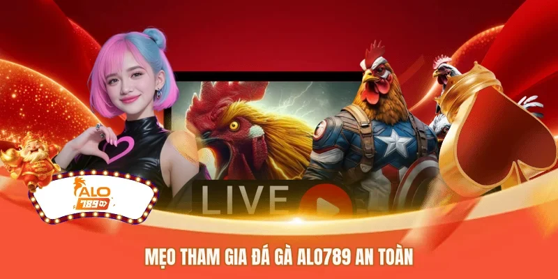 Mẹo tham gia đá gà ALO789 an toàn