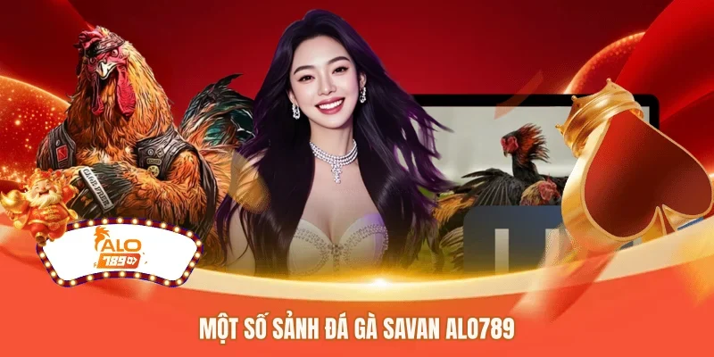 Một số sảnh đá gà savan ALO789