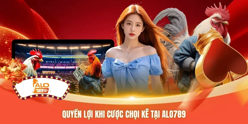 Quyền lợi khi cược chọi kê tại ALO789