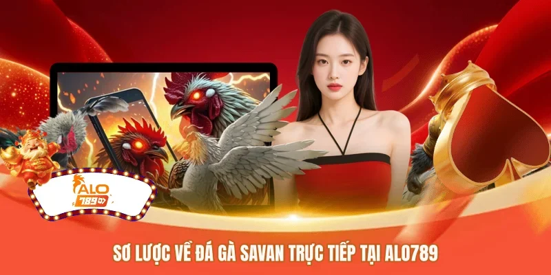 Sơ lược về đá gà savan trực tiếp tại ALO789