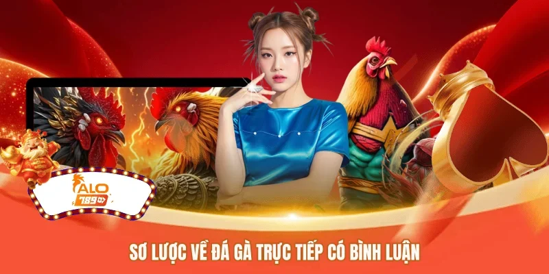 Sơ lược về đá gà trực tiếp có bình luận