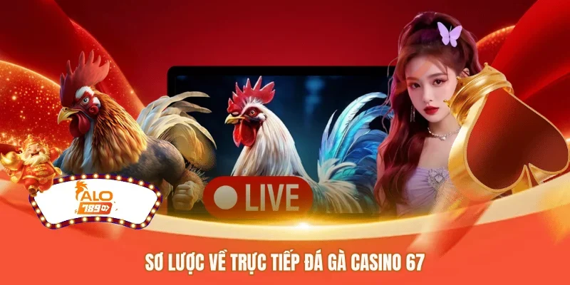 Sơ lược về trực tiếp đá gà casino 67